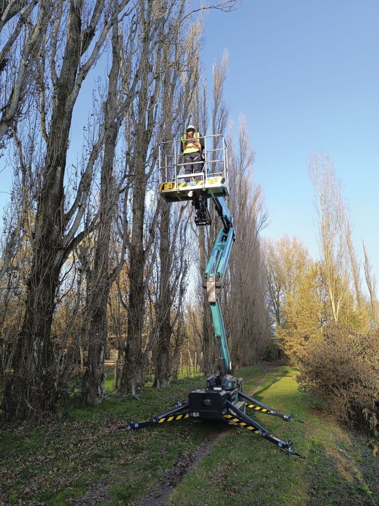 IM R 65 / 20 DA Pro working at height in a wooded area